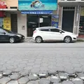 Biólogo Aquarista